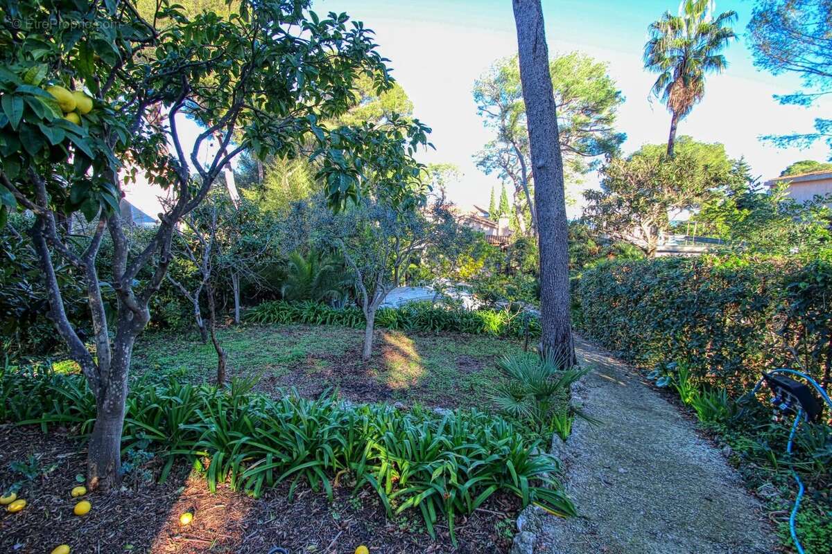 Maison à SAINT-JEAN-CAP-FERRAT