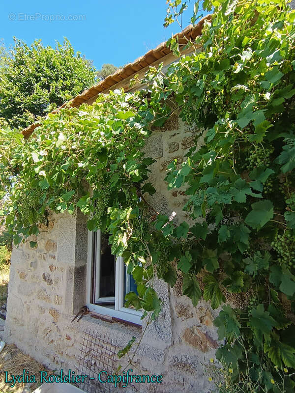 Maison 177 m2 - 6 pièces - 3 Chambres avec vue exceptionnelle à Saint Victor Montvianeix (63550) - photo 21