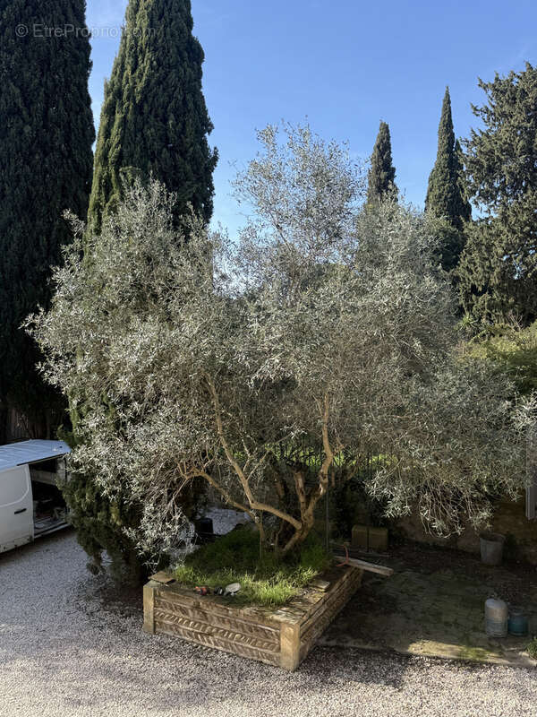 Appartement à SOMMIERES