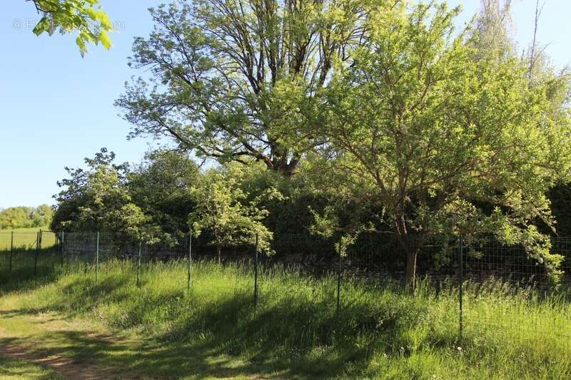 Terrain à vendre de 4 015,00 m² dont 870 m² constructibles LA BUSSIERE SUR OUCHE (21) - photo 6