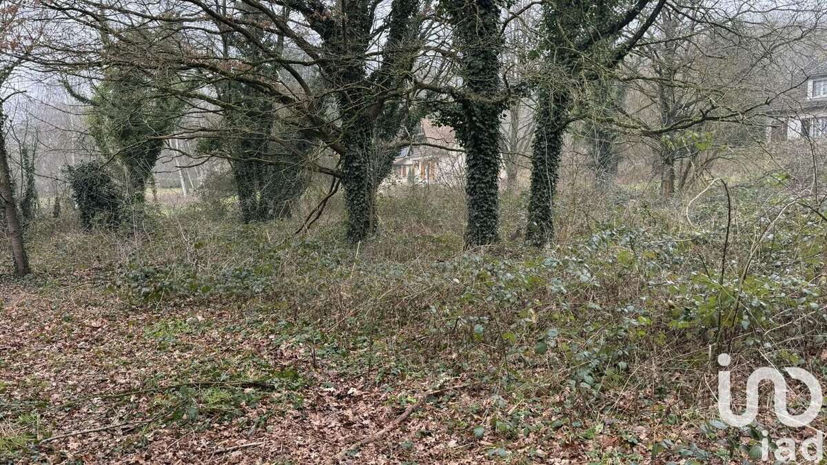 Photo 4 - Terrain à MARCOUSSIS