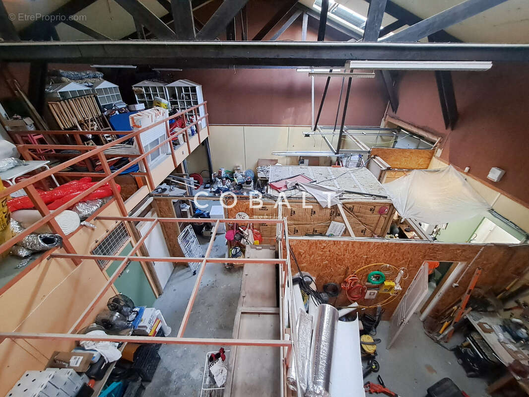 Commerce à PAIMBOEUF