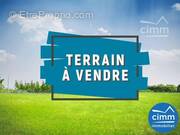 Terrain à SAINT-THURIAL