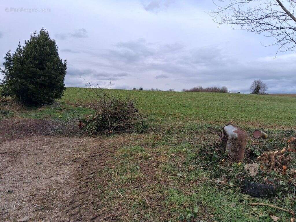 Maison à CHATEAUNEUF-LA-FORET