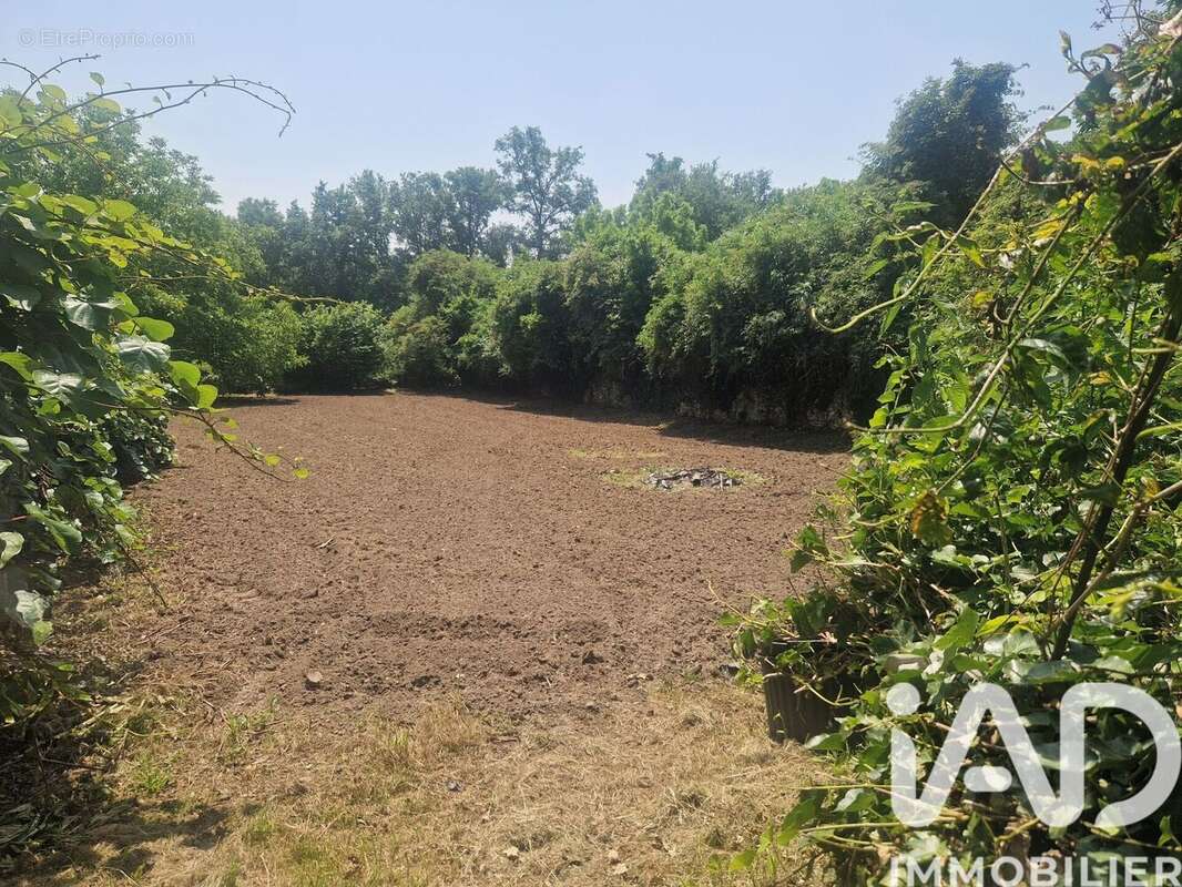 Photo 6 - Maison à CALVIAC-EN-PERIGORD