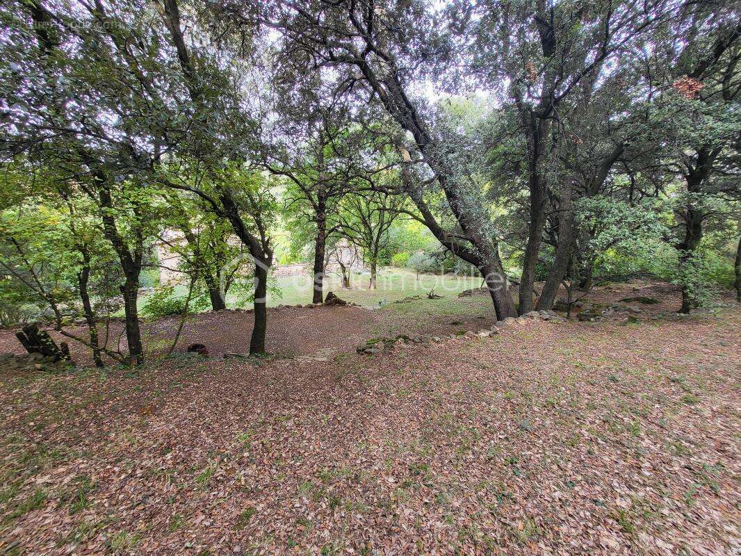 Maison à SAINT-FELIX-DE-PALLIERES