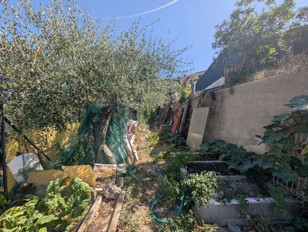 Saint blaise : terrain constructible ! - photo 4