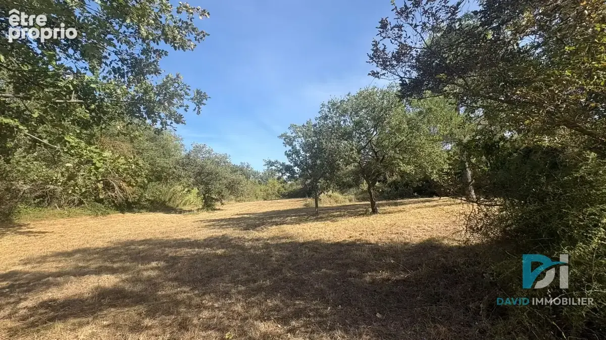 Terrain agricole - photo 2