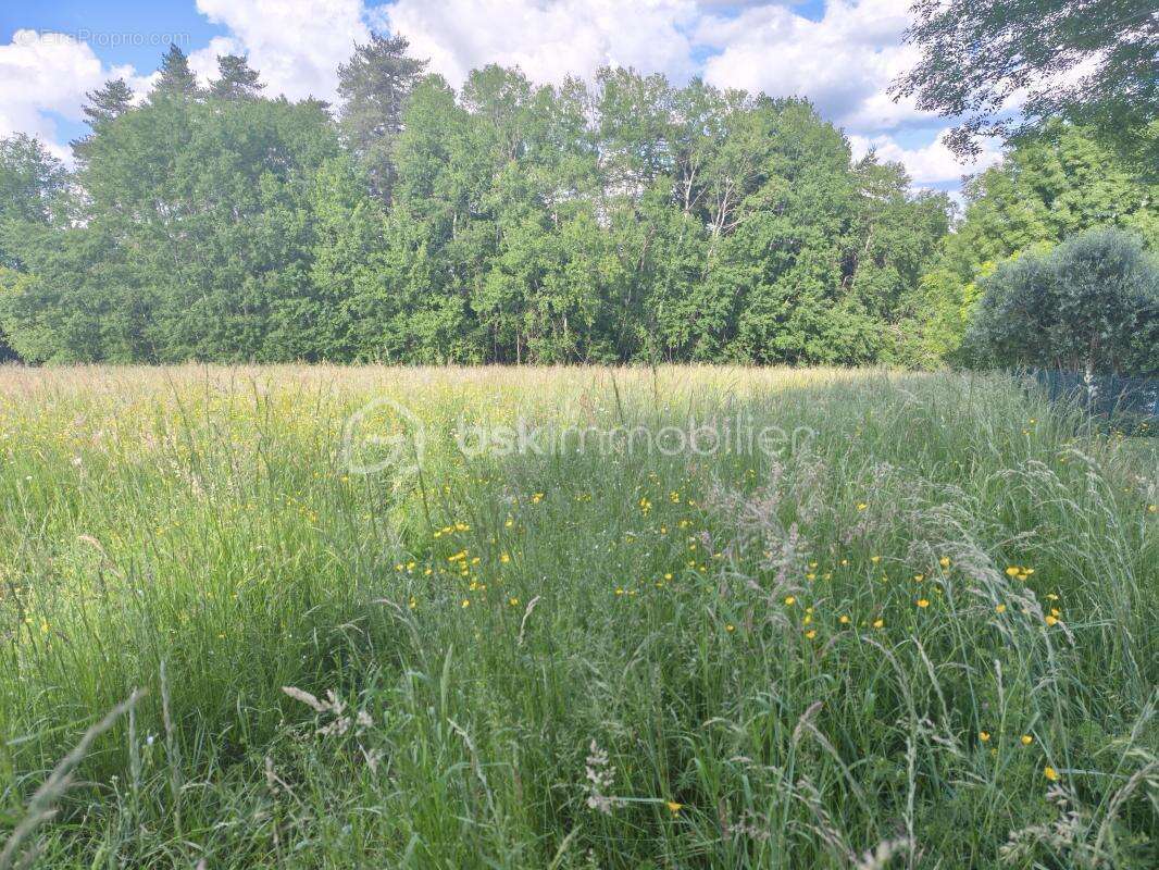 Terrain constructible a vendre - photo 3