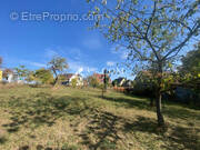 Terrain à DETTWILLER