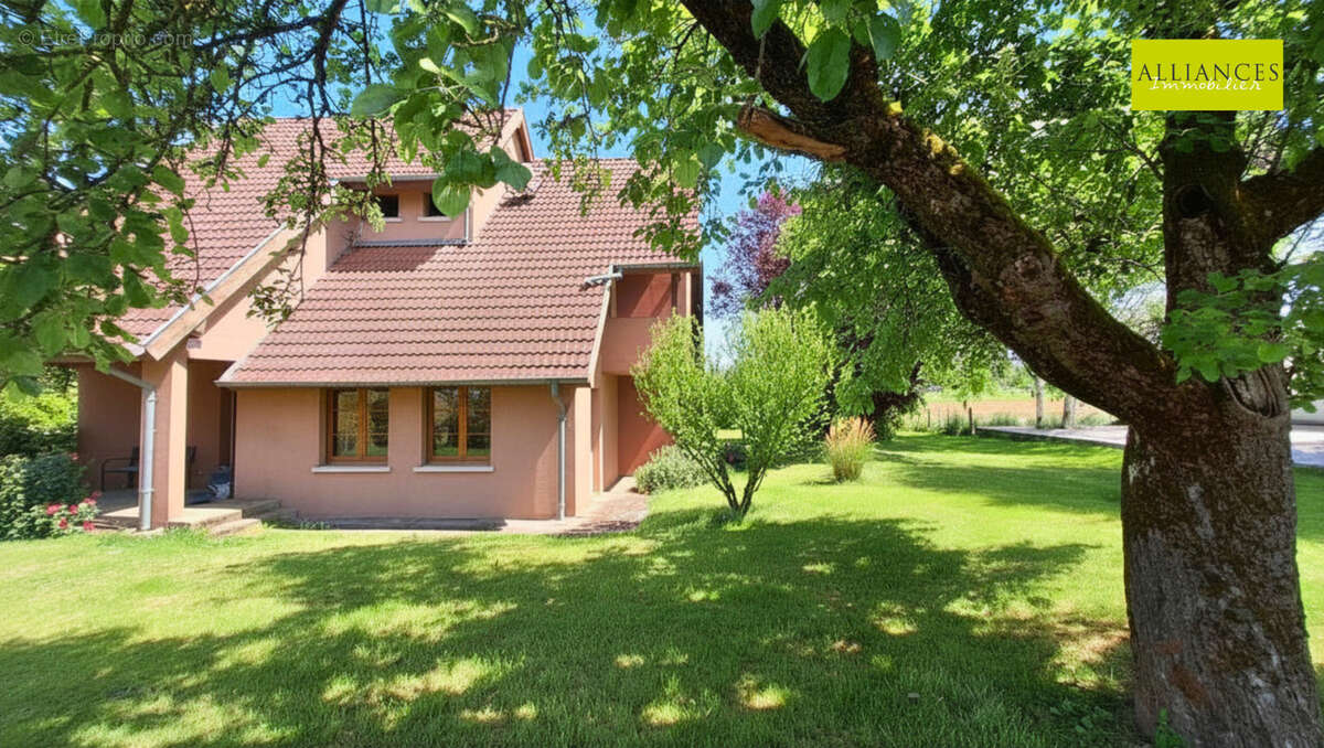 Maison à DANNEMARIE