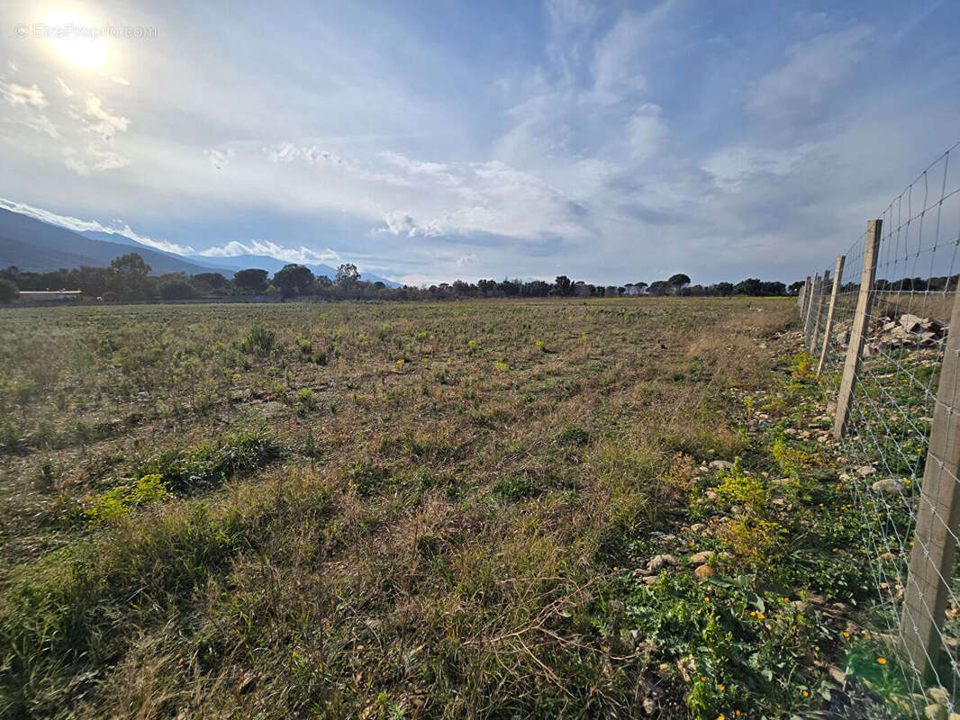 Terrain Argeles Sur Mer 44784 m2 - photo 8