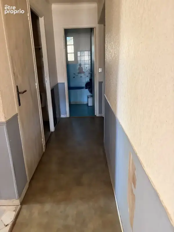 AGDE-  maison composée de deux appartements énorme potentiel terrain 579 m² - photo 18