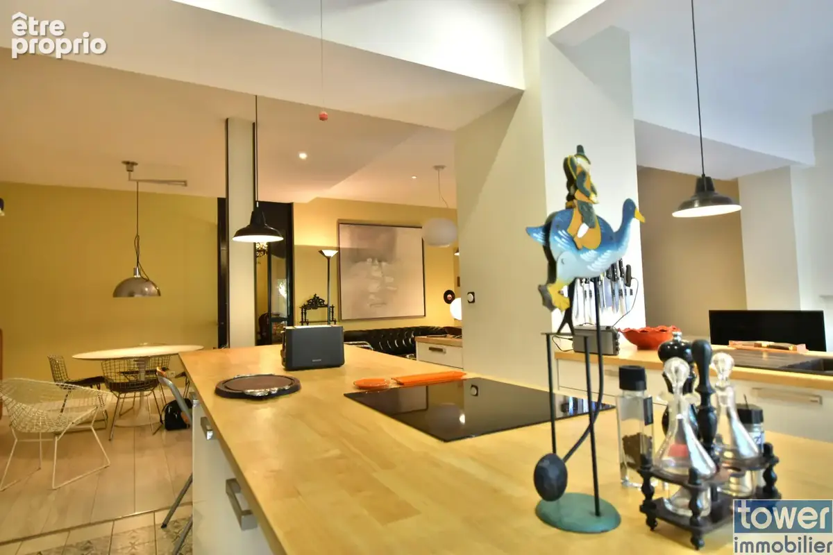 Bergerac hypercentre Magnifique Appartement de 165m2 avec jardin - photo 4