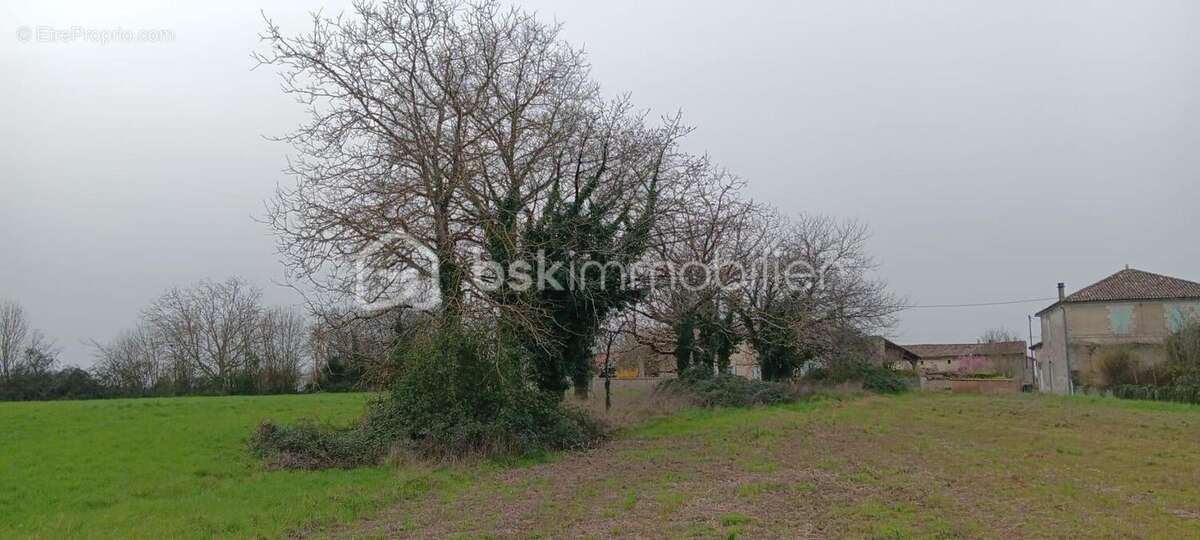 Maison en pierre - photo 24