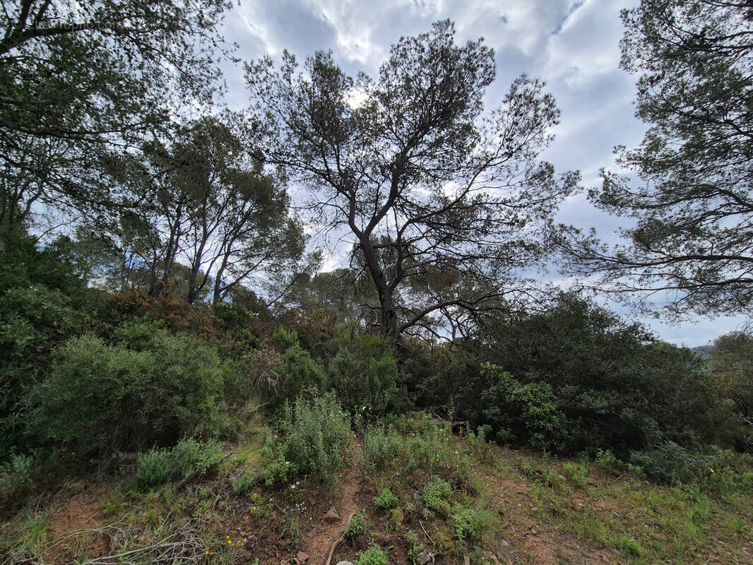 Terrain à LA CRAU