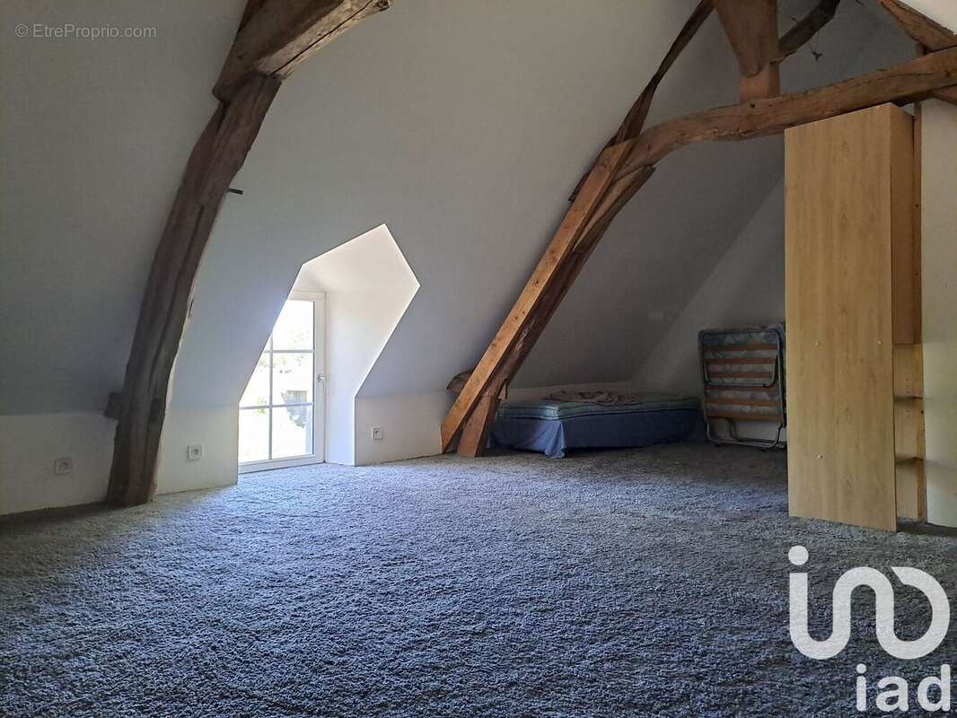 Photo 3 - Maison à ROCHEFORT-SUR-LOIRE