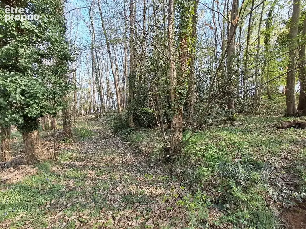Maison 6 pièces 204 m² à vendre à Saint-Saturnin (72650) - photo 8