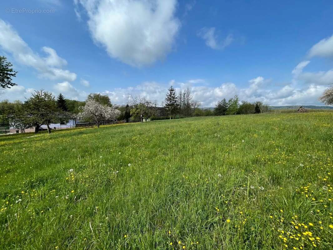 Terrain à STEINBOURG