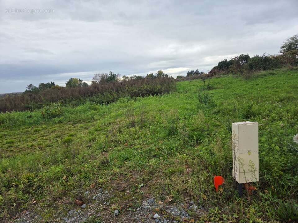 Terrain à SAINT-GEORGES-DE-RENEINS