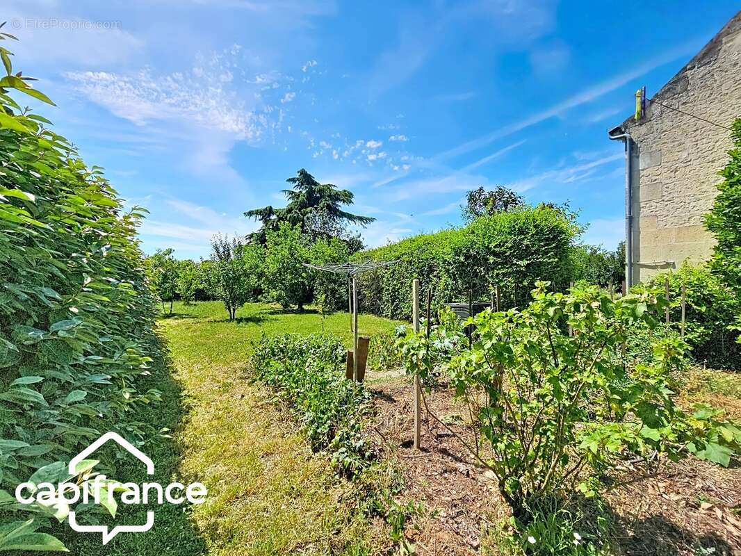 Maison en pierre de caractère 195 m² – 3 chambres – mezzanine – terrain 1 606 m² – Saint-Martin-de-Sanzay proche Saumur, Montreu - photo 18