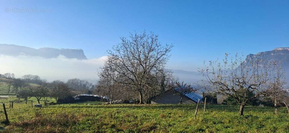 Terrain à SAINT-PIERRE-DE-SOUCY