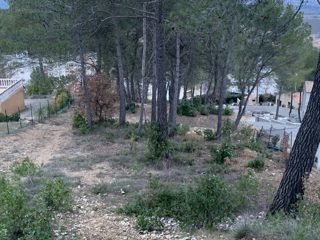 Terrain à LA ROQUE-D&#039;ANTHERON