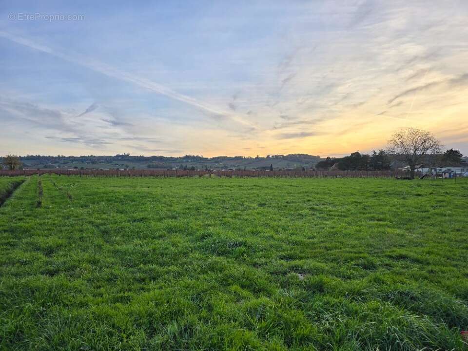 Terrain à SAINT-LAURENT-DES-VIGNES