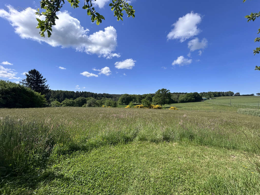 Terrain à MERCOEUR