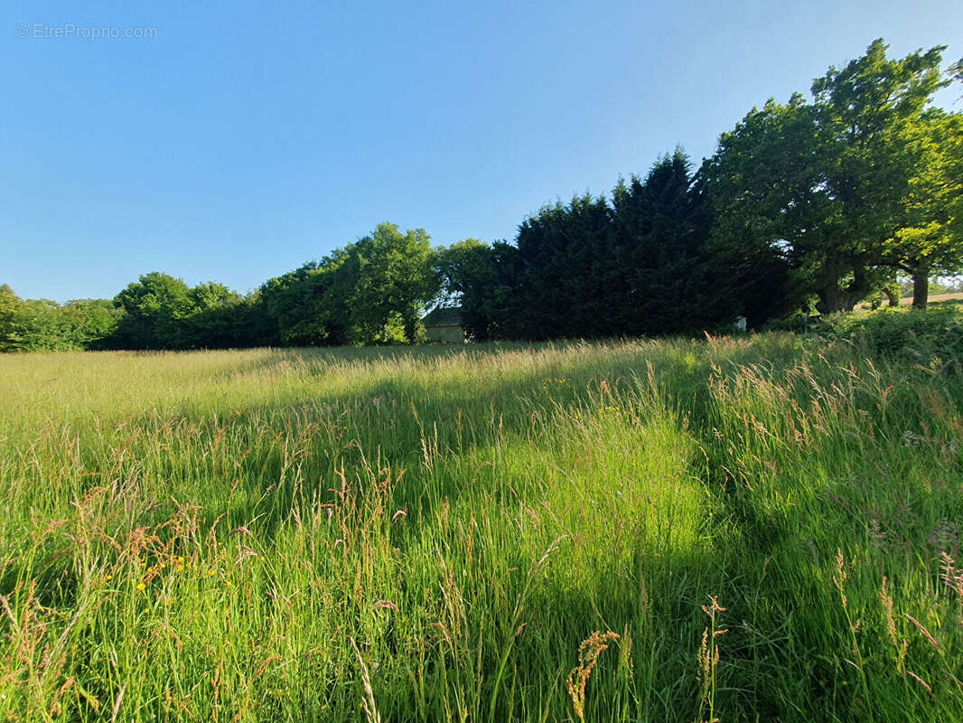 Terrain à VILLEBRET
