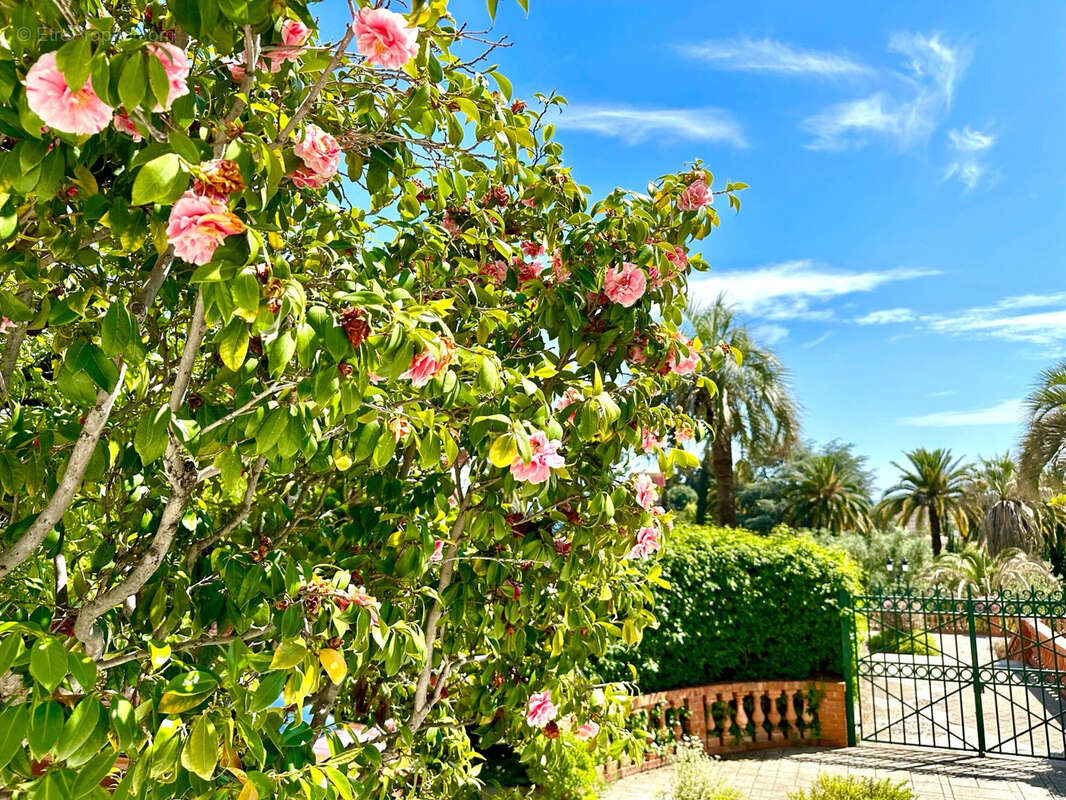 Riviera Palace - Dernier étage, 3 pièces avec balcon et vue mer panoramique - photo 11