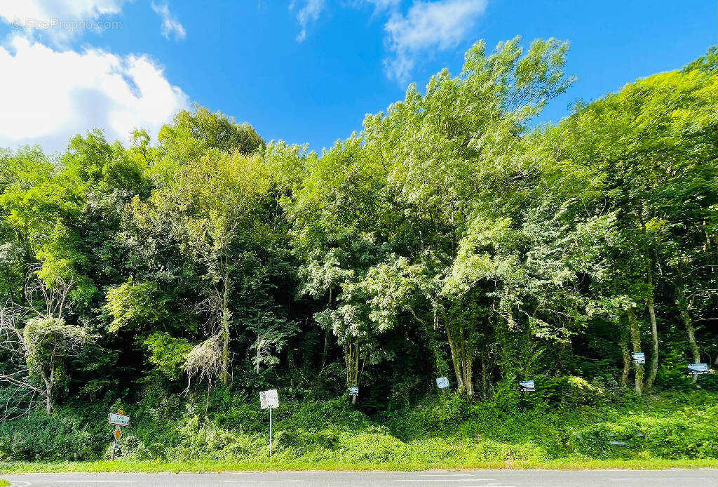 Terrain à SAINT-JEAN-LES-DEUX-JUMEAUX