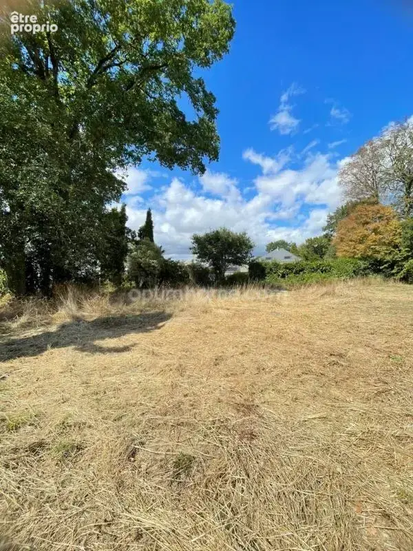 Belle opportunité ! Terrain de 1 606 m² avec large façade PLOERMEL (56) - photo 3