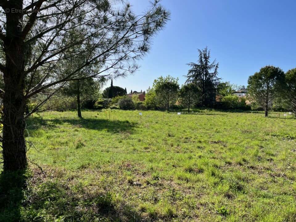 Terrain 462 m² à Caromb  - photo 3