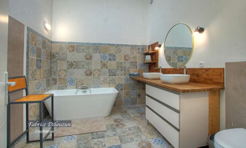 Propriete à vendre 9 pièces MAILLANE (13) - photo 13