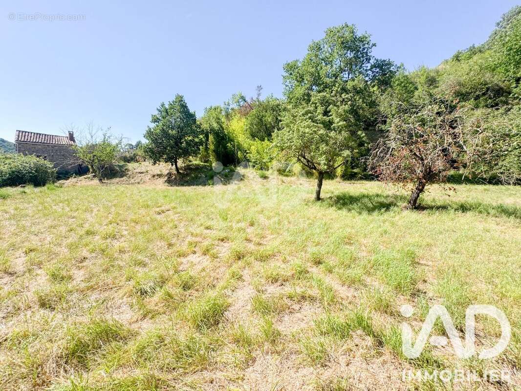 Terrain 12143 m² à Saint-Affrique  - photo 3