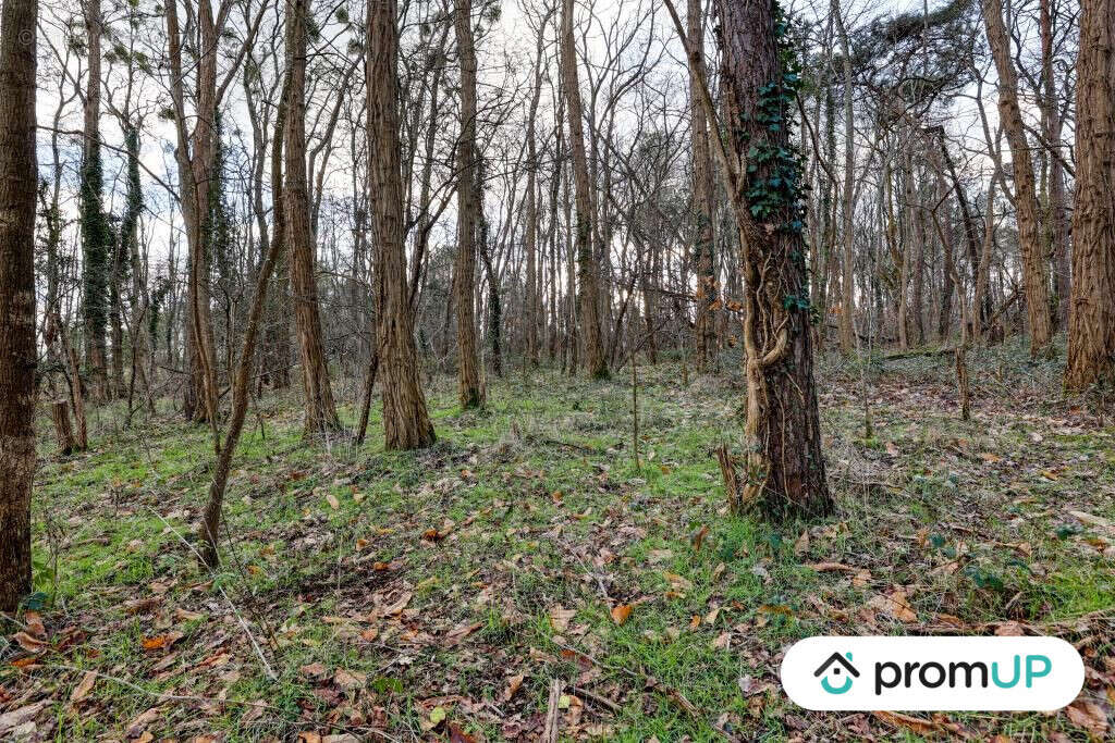 Terrain à CHATILLON-SUR-CHER