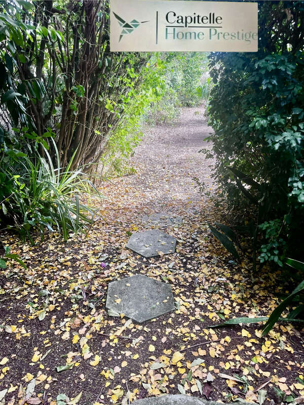 Maison à SAINT-FRANCOIS