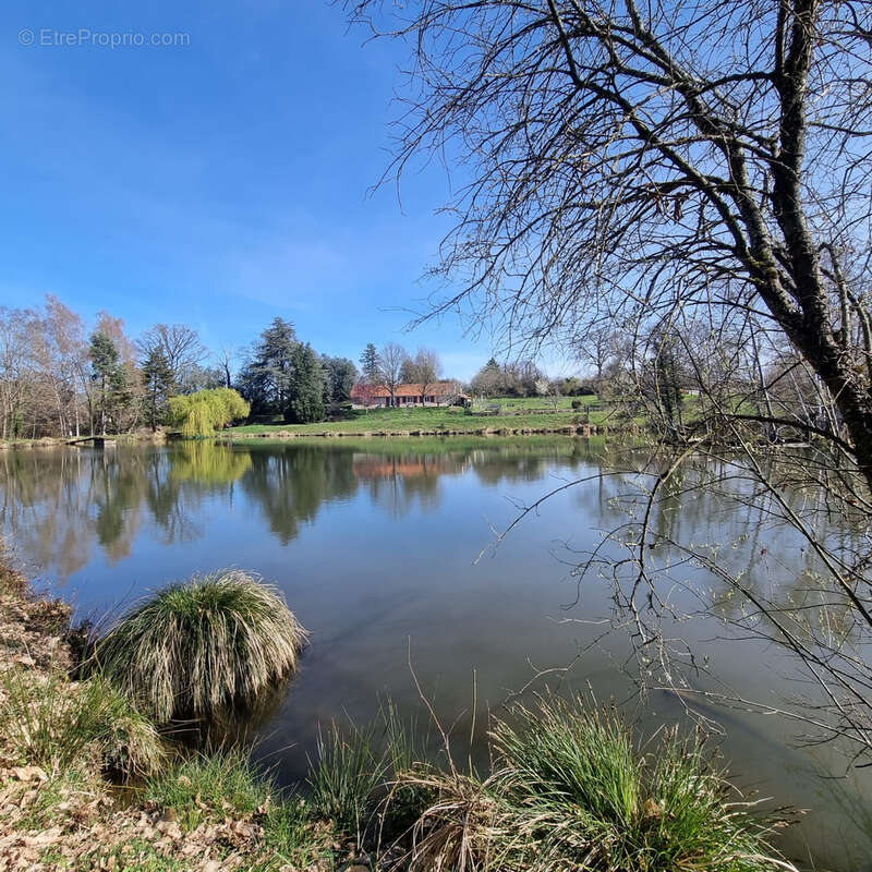 Maison de campagne avec étangs ! - photo 18