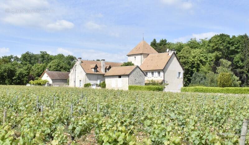 n°1 - Maison à MERCUREY