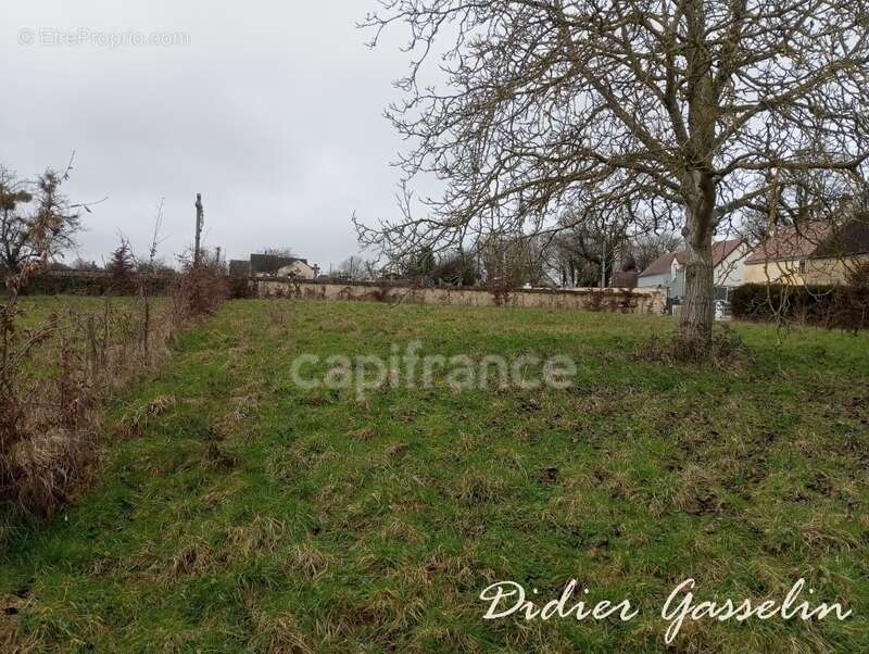 Terrain à vendre  saint hilaire sur erre (61) - photo 2
