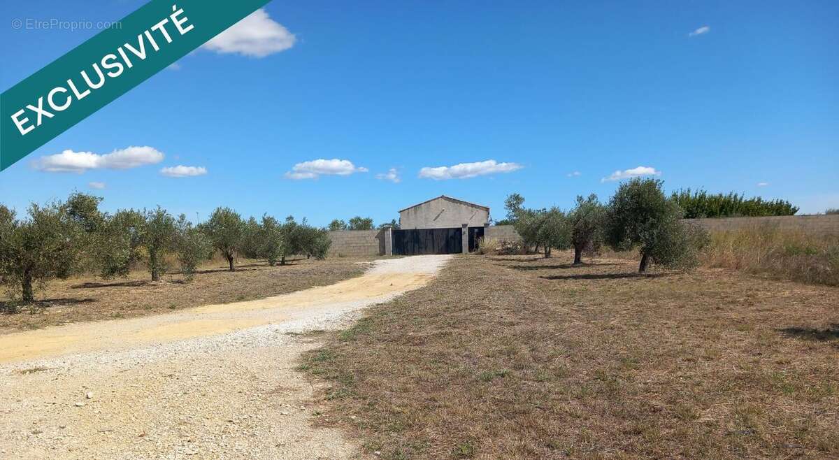 Photo 2 - Maison à BEZOUCE