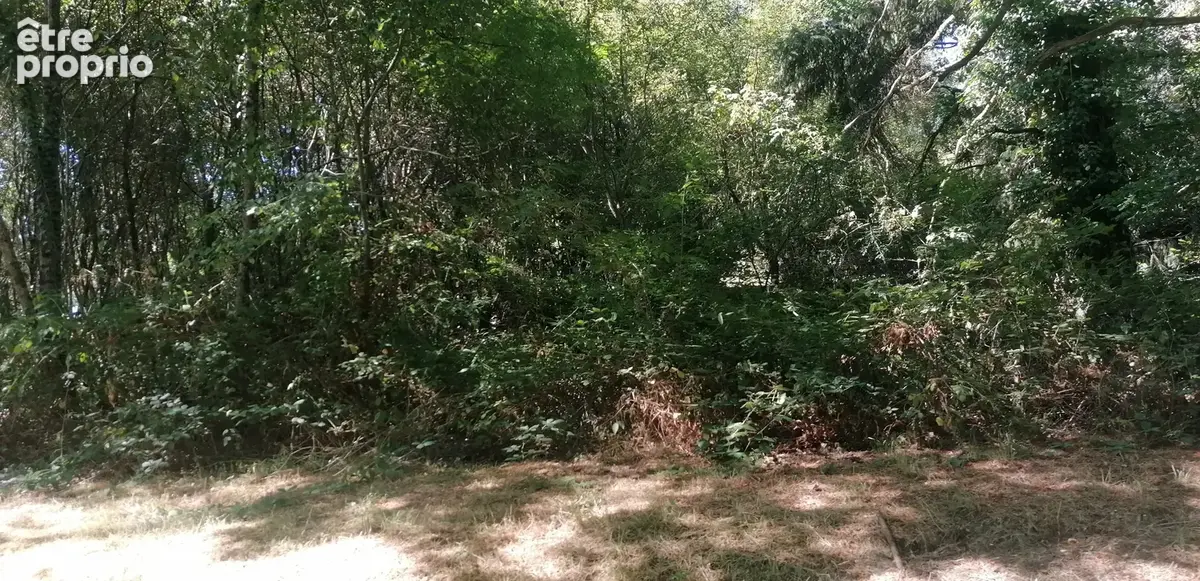 Terrain de 1810 m² à Piégut-Pluviers - photo 6