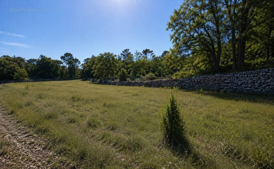 Terrain à SAINT-MAXIMIN-LA-SAINTE-BAUME