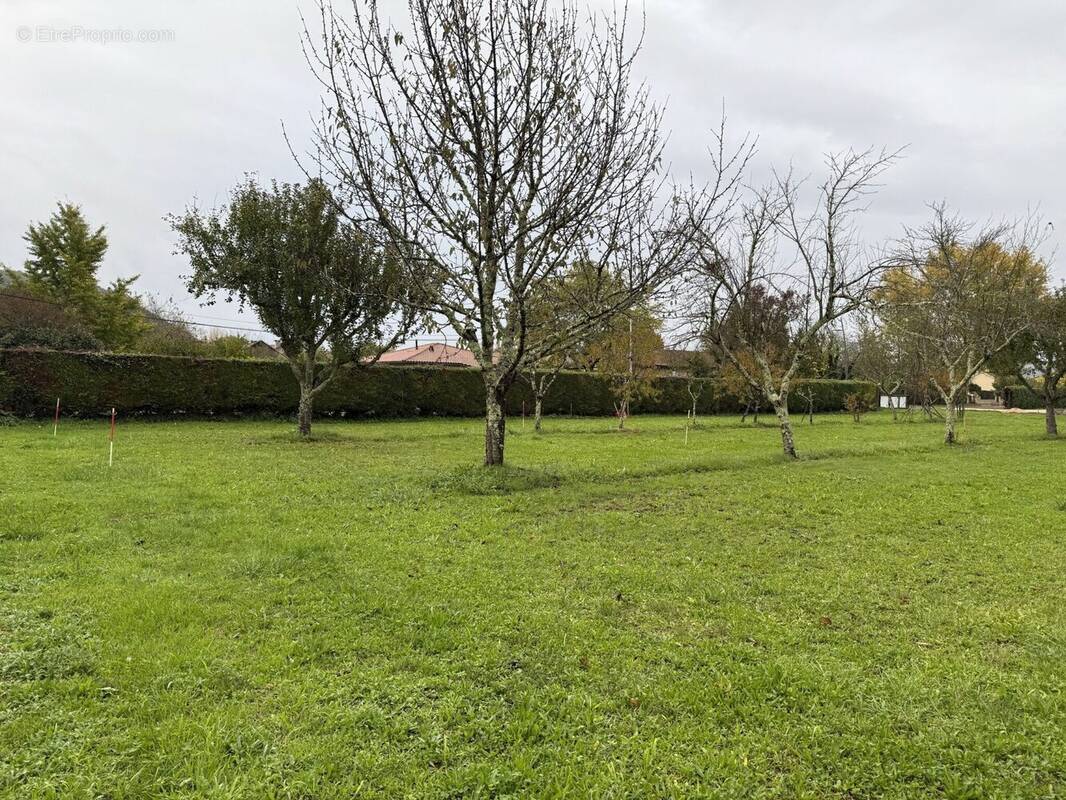 Terrain à SAINT-CYPRIEN