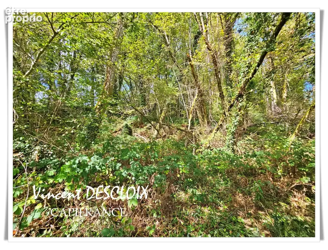 Maison à vendre 6 pièces ALLIGNY EN MORVAN (58230) Terrain 12 200m² - photo 7