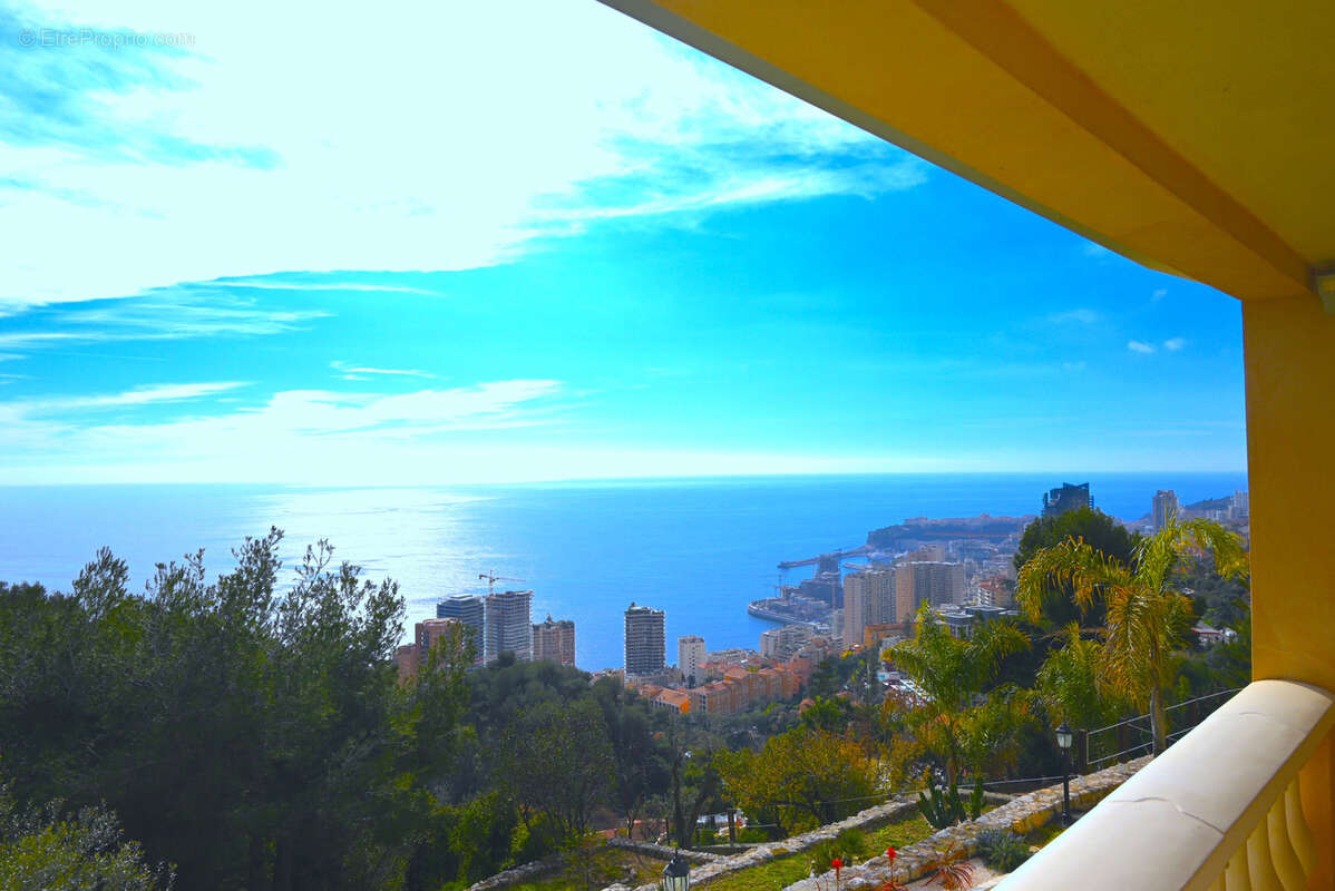 Belle Villa surplombant Monaco - photo 6