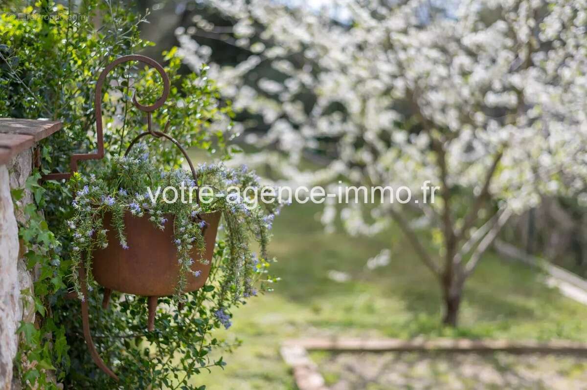 Peille, belle maison 105m² + garage 30m² Piscine + dépendance - photo 26