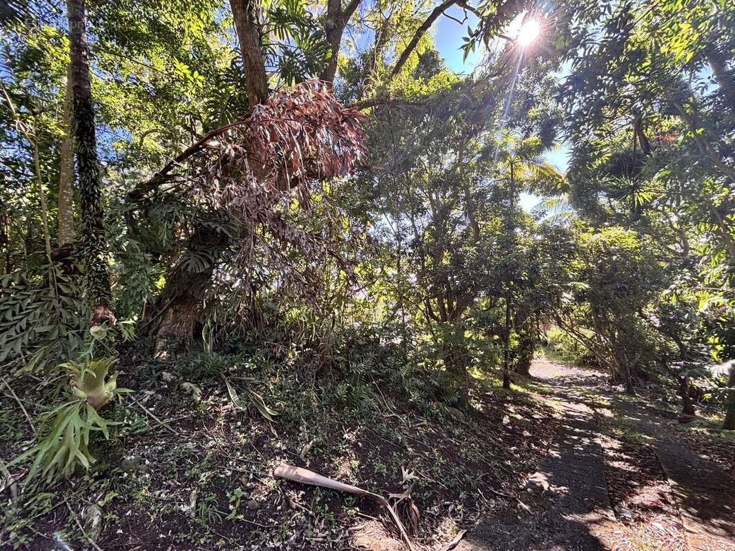 Propriété - 8 pièces - terrain de 4800 m² - photo 4