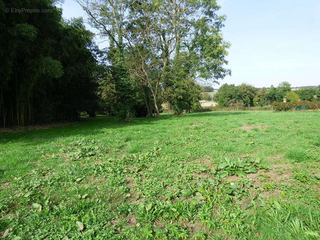 Maison à SAINT-TRIVIER-DE-COURTES